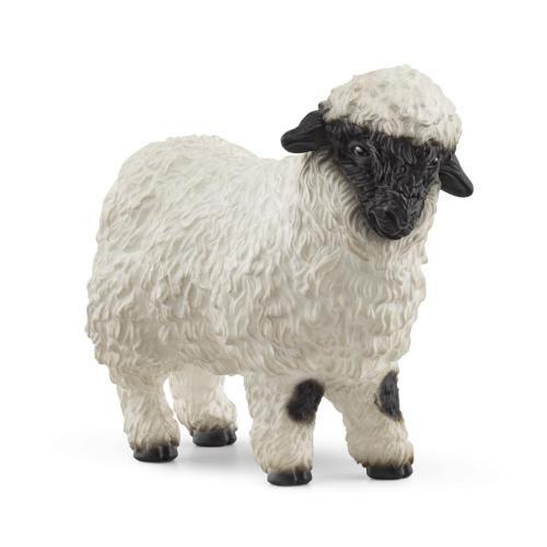Ovelha de nariz preto de Valais