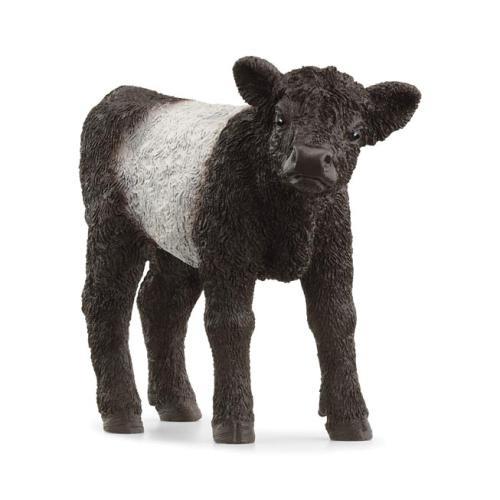 Bezerro Galloway