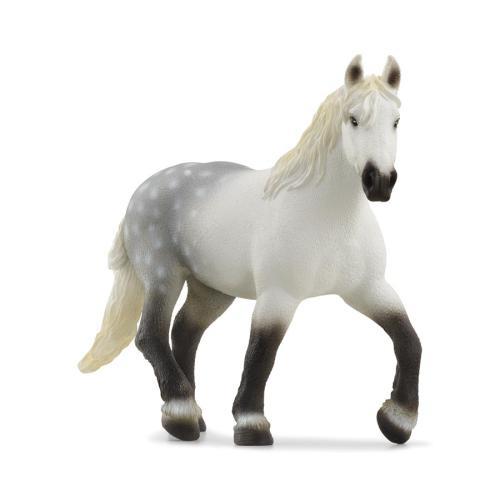 Égua Percheron