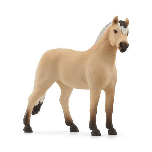 Cavalo fjord