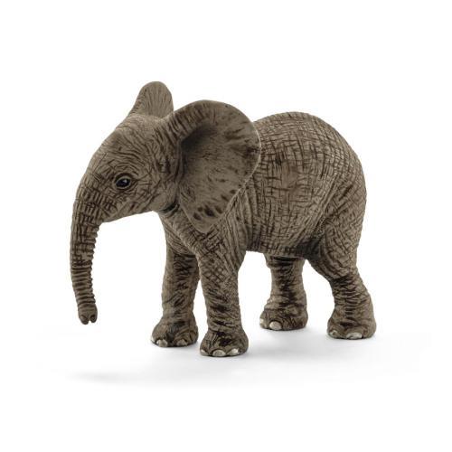 Cria de elefante africano