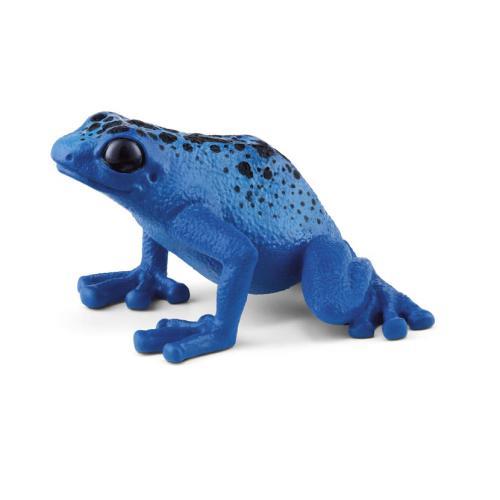 Rã flecha azul