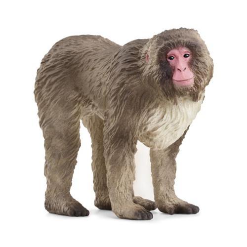 Macaco japonês