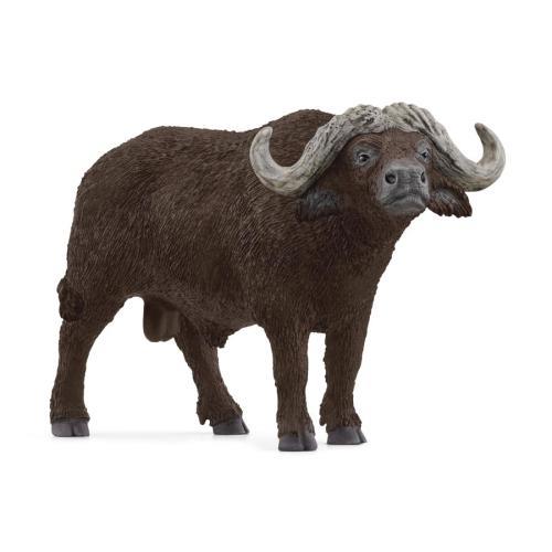 Búfalo africano