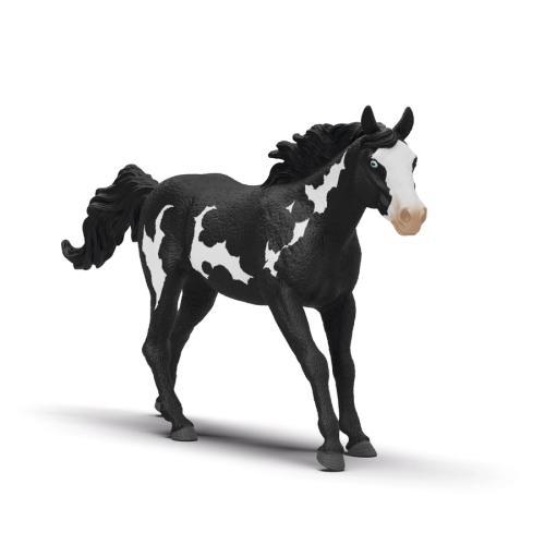 Cavalo capão Paint Horse