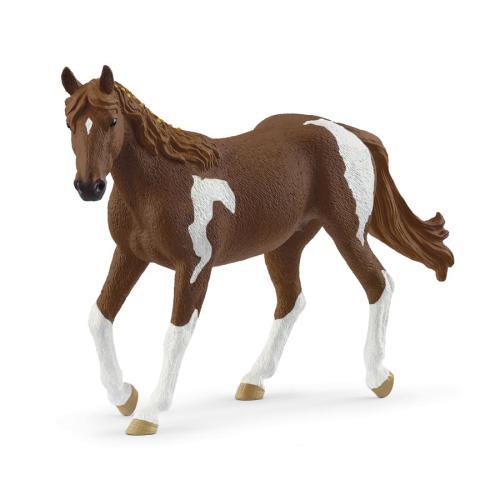 Égua Paint Horse