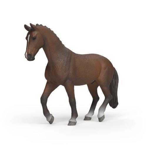 Cavalo KWPN