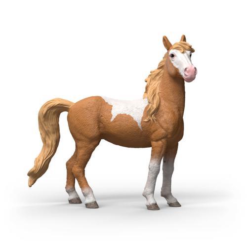 Égua Mustang