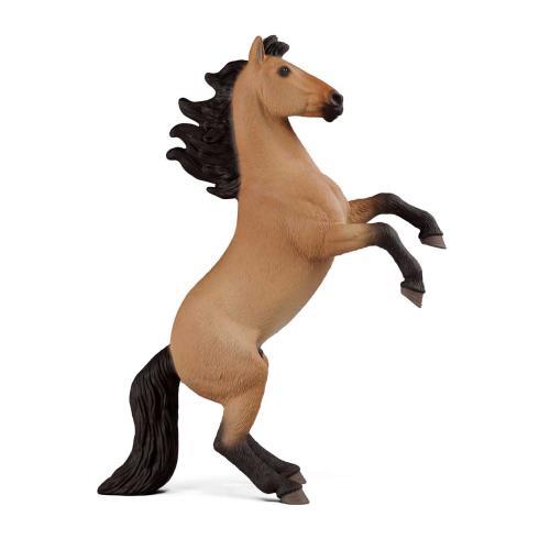 Semental Mustang