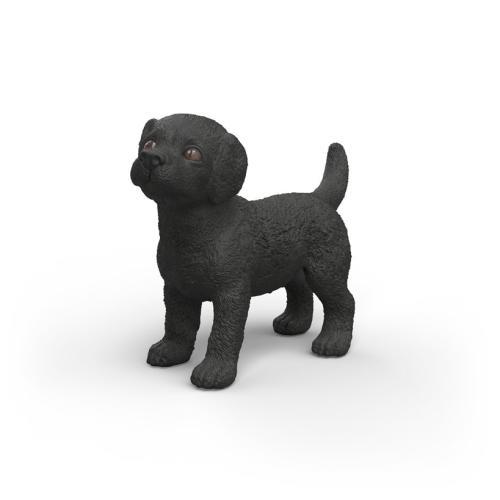Cachorro Labrador Retriever negro