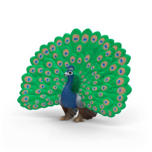 Pavão real