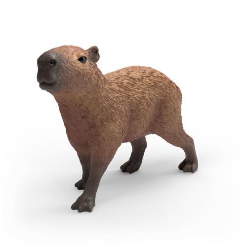 Capivara