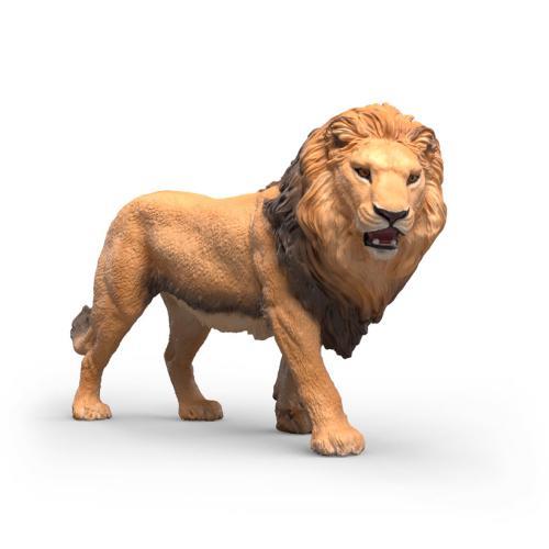 Leão africano
