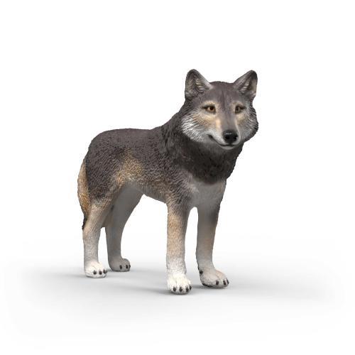 Lobo americano