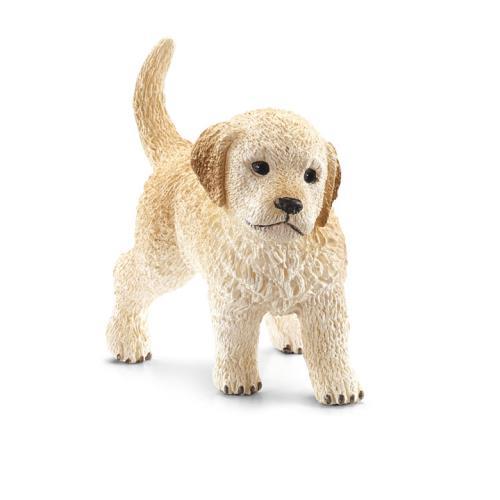 Cria de Golden Retriever
