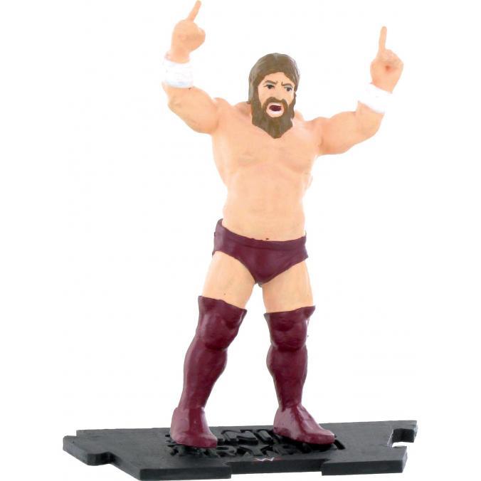 **WWE Daniel Bryan