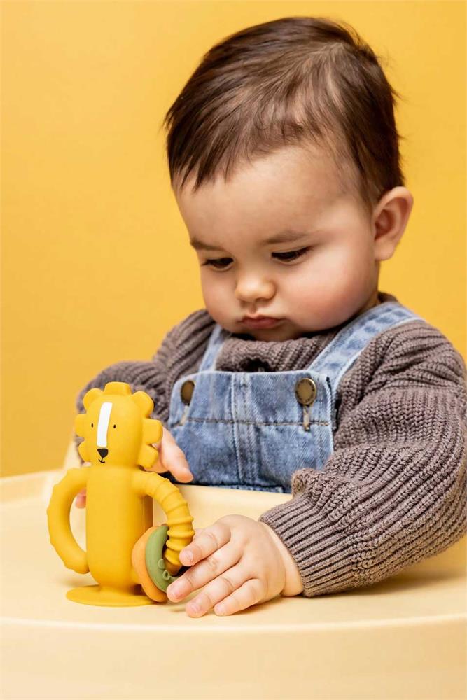 Brinquedo Sensorial Silicone - Mr. Lion - Image 4