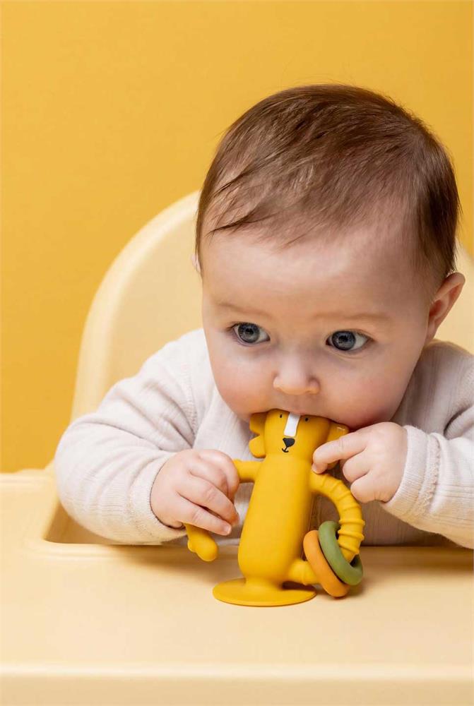 Brinquedo Sensorial Silicone - Mr. Lion - Image 5