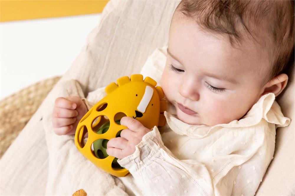 Roca Sensorial em Silicone - Mr. Lion - Image 8